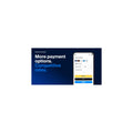 Paypal Business Accounts